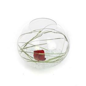 fwthumbRose Fish Bowl Wedding Flowers Sheffield-600x400.jpg